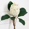 26in. Artificial King Protea Flower Stems - Set of 4